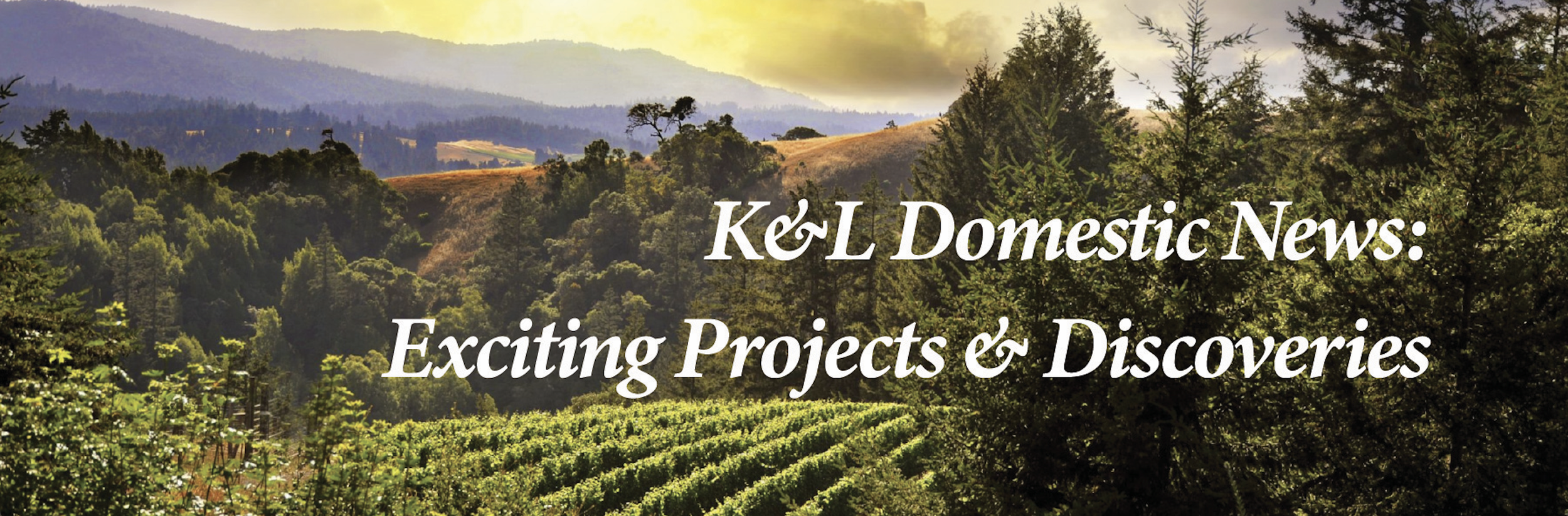 ワイン 2001 Santa Cruz Mountains  Ranch The Magic of the Santa Cruz Mountains — K&L Wines On the